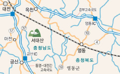 현승명산약초 | [한국의 숲, 한국의 명산]인삼·약초 싼값에 고르는 재미