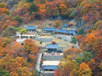 [한국의 숲, 한국의 명산](30)경북 봉화군 청량산
