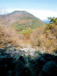 [한국의 숲, 한국의 명산](31)경남 고성군 연화산
