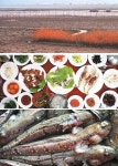 [트래블]‘허벌나게 찰진 맛’ 강진 5000원짜리 밥상의 초대장