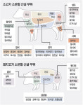 식육 부위 명칭 세분화…소 10개·돼지 5개 늘어