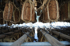 [신년특별기획]전남 담양군 창평면－‘느린, 비운 삶’ 이어가다