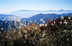 [한국의 숲, 한국의 명산](43)전북 장수 장안산