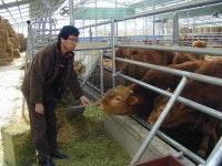 기름·사료값 폭탄…“소도 농가도 굶어 죽으란 얘기죠”