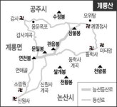 [한국의 숲, 한국의 명산](48)충남 공주 계룡산