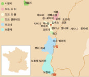 [양군의 와인 다이어리] 딸기밭 처녀 만나러 황금언덕으로! - 부르고뉴 와인