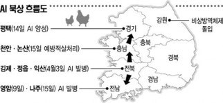 재앙 키운 농가 무지·당국 안일…AI감염·폐사 오리 잇단 무단반출