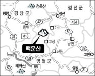 [한국의 숲, 한국의 명산](52)강원도 정선·평창 백운산