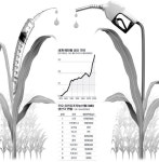 바이오연료는 ‘주범’ GMO는 ‘대안’ 논란