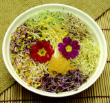 [맛있는 집]미향-봄의 맛 어우러진 비빔밥 ‘일품’