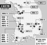 서울 한복판 A I 에 뚫렸다…광진구청 사육장서 확인