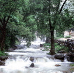 [한국의 숲, 한국의 명산](55)경북 김천 황악산