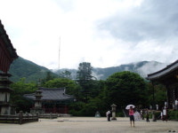 [한국의 숲, 한국의 명산](55)경북 김천 황악산