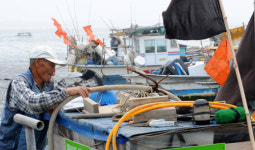 이명박 대통령 곧 취임 100일…民生 고통크다