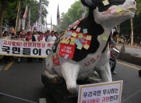 [오후10시반]경찰차량 빼내던 시민 한 명 부상