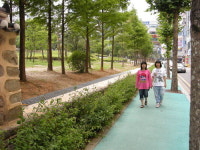 대전 둔산선사유적지…7년 담장 허물고 시민 곁으로