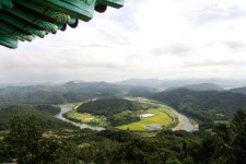 대전 ‘노루벌’을 지켜라…市 개발계획에 환경단체 반발
