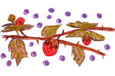 [시골편지]굴개굴개 청개구리