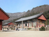 [한국의 숲, 한국의 명산](60)전북 고창 선운산