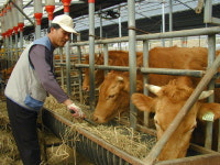 “소 먹이는 일보다 서울 올라가 싸울 것”