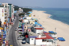 건물 철거·이색 조형물 … 동해안의 재구성