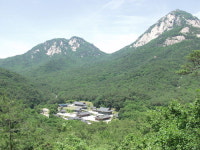 [한국의 숲, 한국의 명산](70)경북 문경 희양산