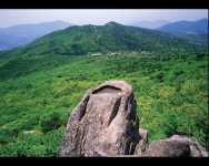 [한국의 숲, 한국의 명산](72)부산 금정산