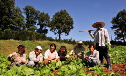 [경향62 창간특집]돈벌이 ‘농업’ 아닌나눔의 ‘農’으로 자립