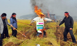 “공무원 파면·쌀 수매가 인상” 불붙은 추투