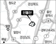[한국의 숲, 한국의 명산](74)울산 신불산