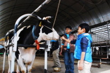 일 시켜서 더 즐거운 목장…포천 아트팜 체험여행