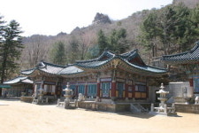 [한국의 숲, 한국의 명산](78)충남 논산·전북 완주 ‘대둔산’