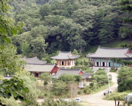[한국의 숲, 한국의 명산](79) 강원 홍천 공작산
