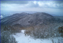 [한국의 숲, 한국의 명산](82)전남 순천 조계산