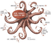 재벌 ‘문어발 확장’ 환란때와 닮은꼴