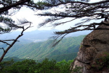 [한국의 숲, 한국의 명산](91) 강원 원주·충북 제천 감악산