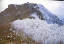 [한국의 숲, 한국의 명산](92)전북 진안·완주 운장산
