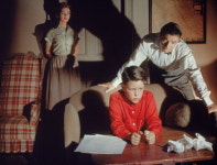 [영화는 묻는다]영진위는 왜 ‘시네마테크’를 흔드나