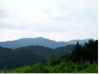 [유망브랜드 대상]달콤하고 몸에 좋은 신토불이 벌꿀 ‘왕성양봉원’