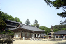 [오늘 우리는 이곳으로 떠난다] #공주 마곡사