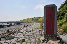 [길,숲,섬]온전히 걷는 이들을 위한 제주의 길 ‘올레’