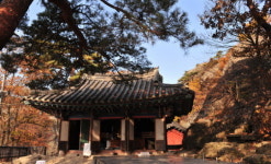 [新택리지]푸르름 머금은 붉은 대지, 색(色)의 풍경 고창