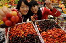 경주산 체리, 마트 첫 선