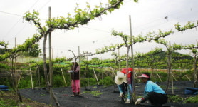 [소읍기행]반딧불이 빛나는 밤에 무주 반딧불마을