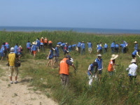 태안해안국립공원 ‘외래식물과의 전쟁’