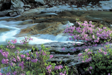 [新택리지]높은 산, 맑은 물의 풍광 ‘산수향(山水鄕)의 고장, 거창’