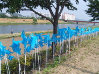 순천 동천변에 ‘소망 바람개비 2013개’