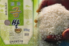 김포의 명물 ‘금쌀’ 드세요