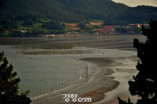 [소읍기행]앞마당은 해산물,  뒷마당엔 농산물 ‘진도 죽림마을’