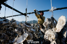 [소읍기행]앞마당은 해산물,  뒷마당엔 농산물 ‘진도 죽림마을’